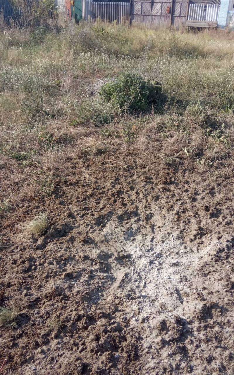       :   dqxikeidqxiqxxant