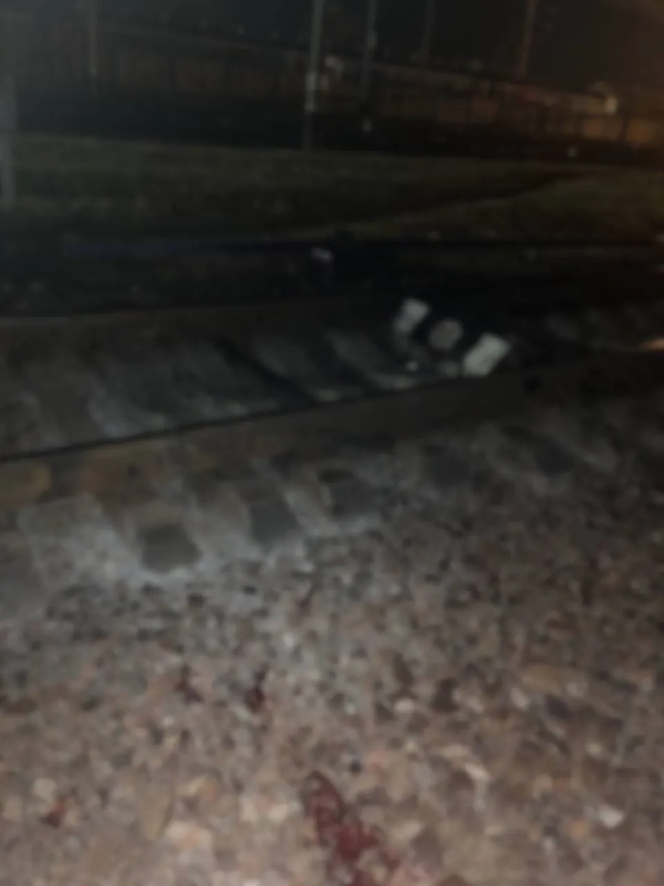       :  䳿 dqxikeidqxiqqeant