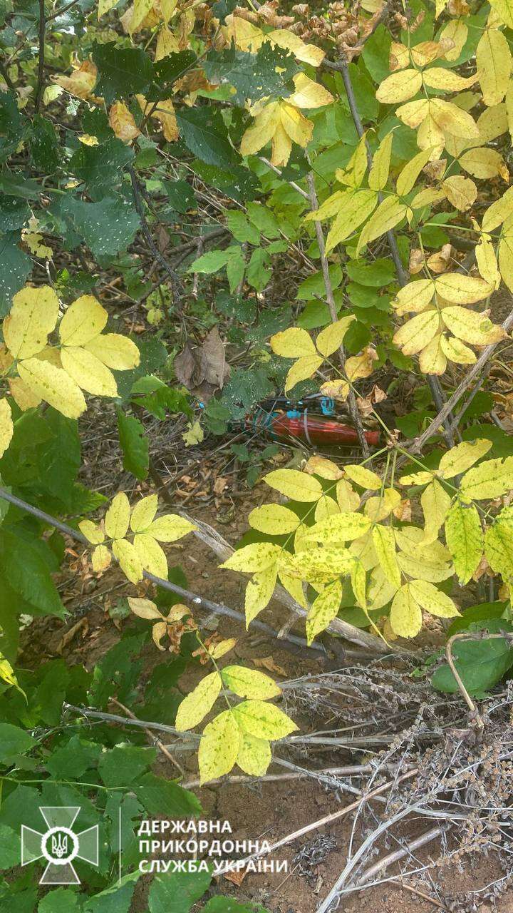 В Харьковской области пограничники "приземлили" начиненный взрывчаткой БпЛА dqxikeidqxiqqeant