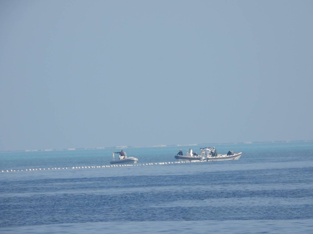 :   dqxikeidqxitkant