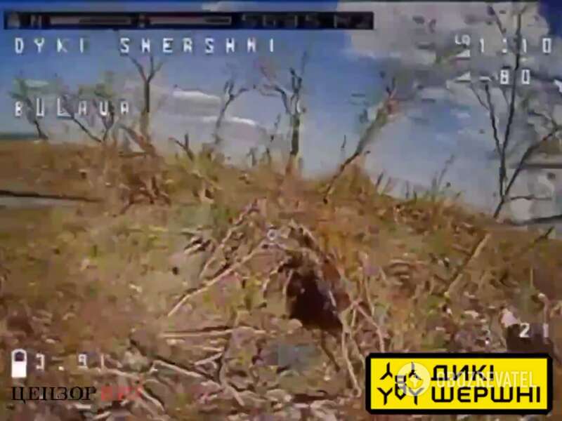 Бліндаж ЗС РФ. Кадр знятий FPV-дроном Сил оборони перед вибухом dqxikeidqxiqqeant