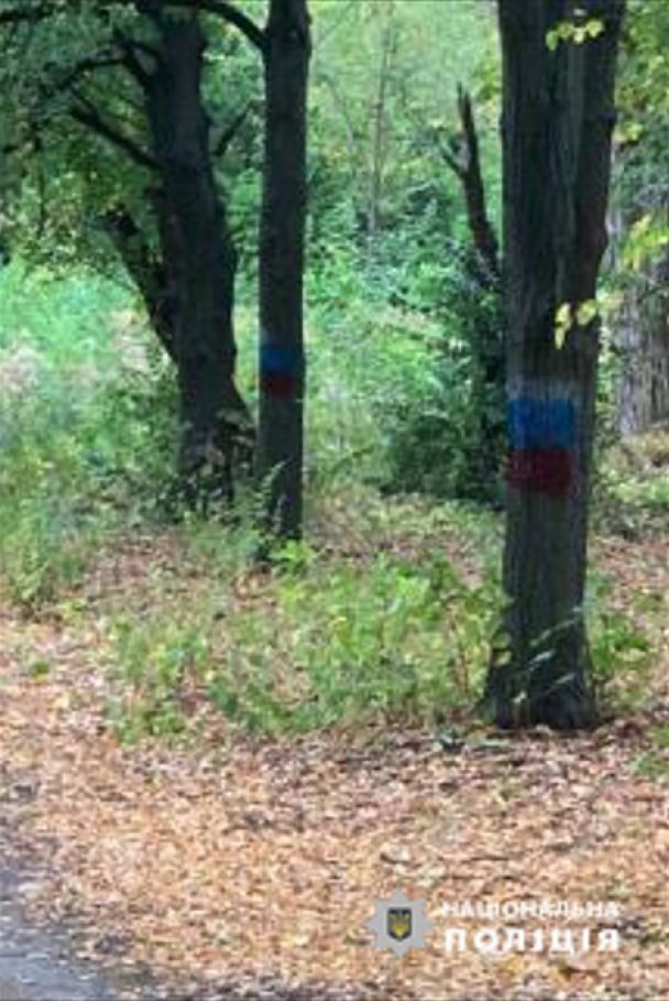 Російські прапори у Харкові / © Facebook поліції Харківської області dqxikeidqxitkant