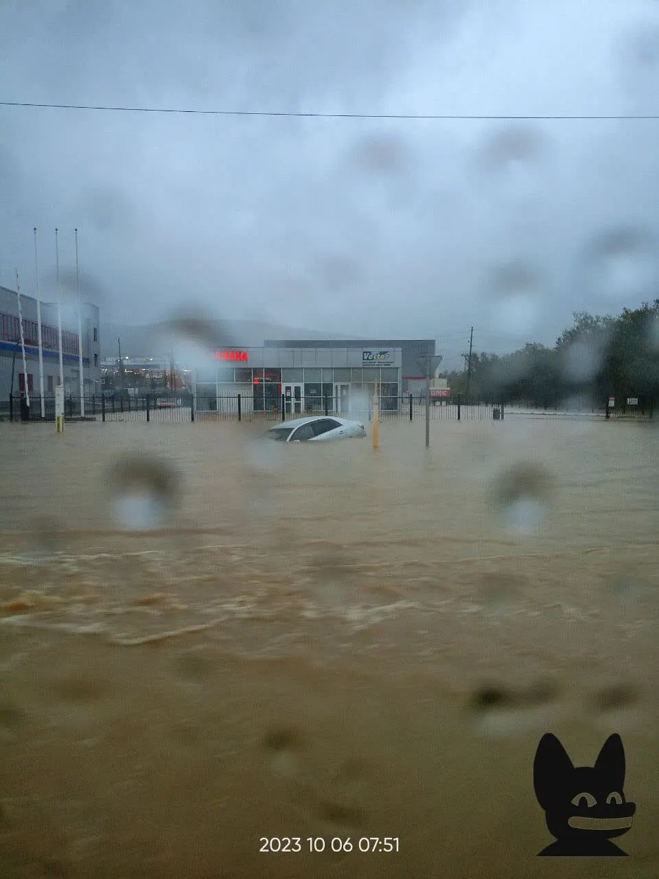 Улицы превратились в реки, тонущие авто: российский Южно-Сахалинск затопило из-за мощного тайфуна. Фото и видео dqxikeidqxiqxxant
