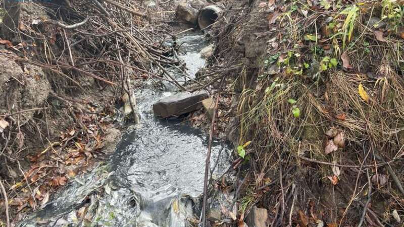     4       -  1 dqxikeidqxitkant