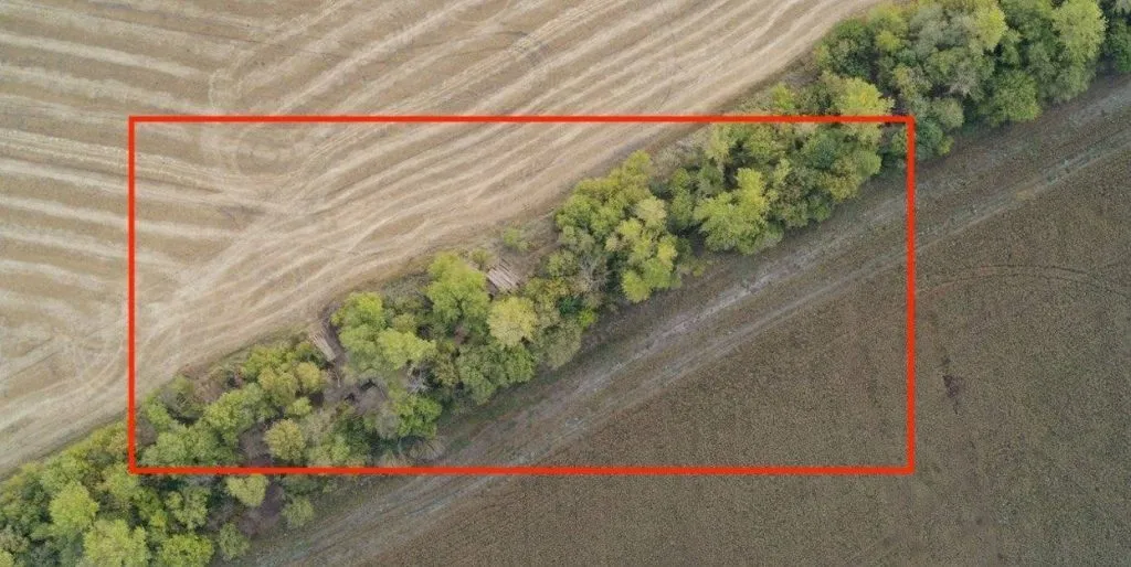 В Курской области РФ отбирают земли у фермеров для нужд окупантов: там строят опорные пункты. Фото