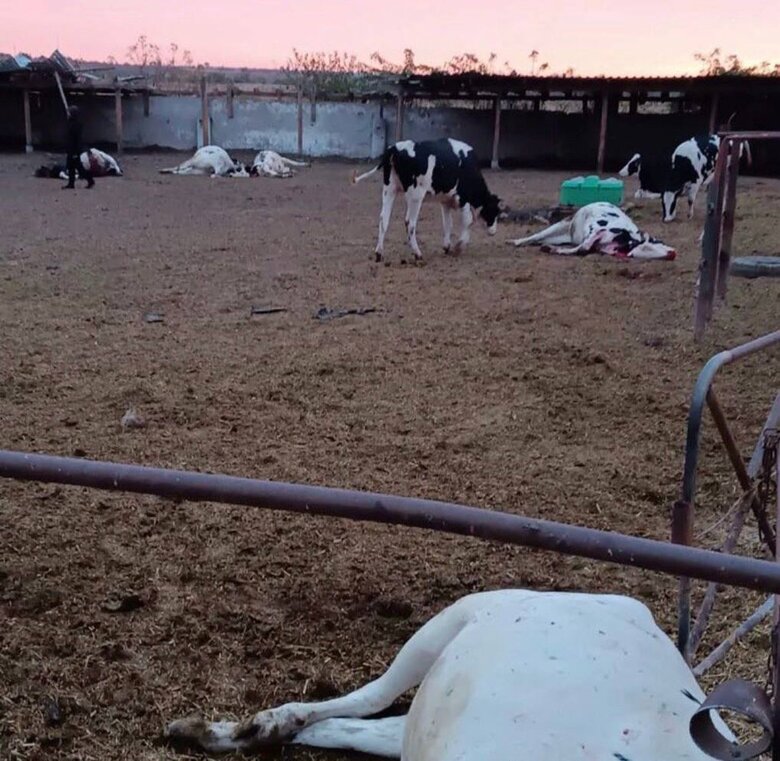      :     01 dqxikeidqxiqqeant