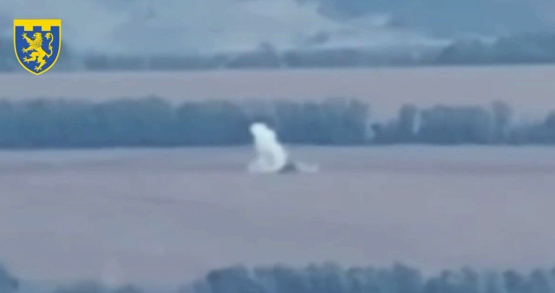 Украинские воины уничтожили во вражеском тылу ЗРК dqxikeidqxiqqeant