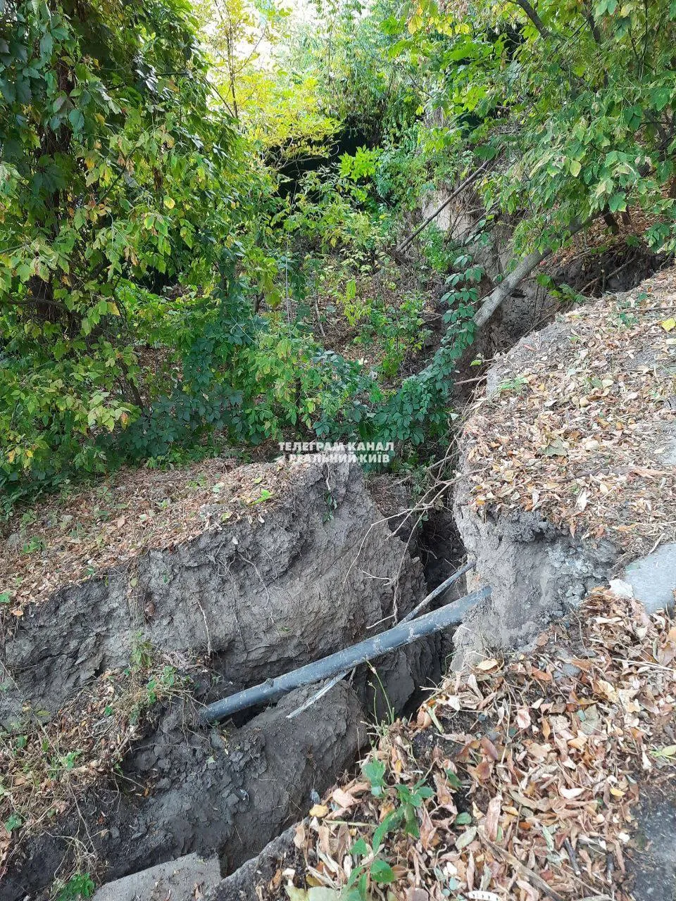    ’    :  .    dqxikeidqxitkant