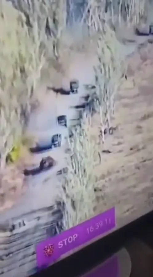     䳿   1932 :     dqxikeidqxiqxxant