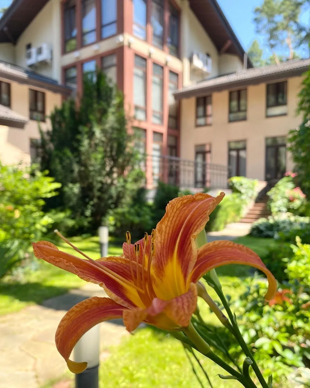    ,      :       dqxikeidqxitkant