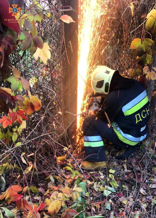      ,     .  dqxikeidqxitkant