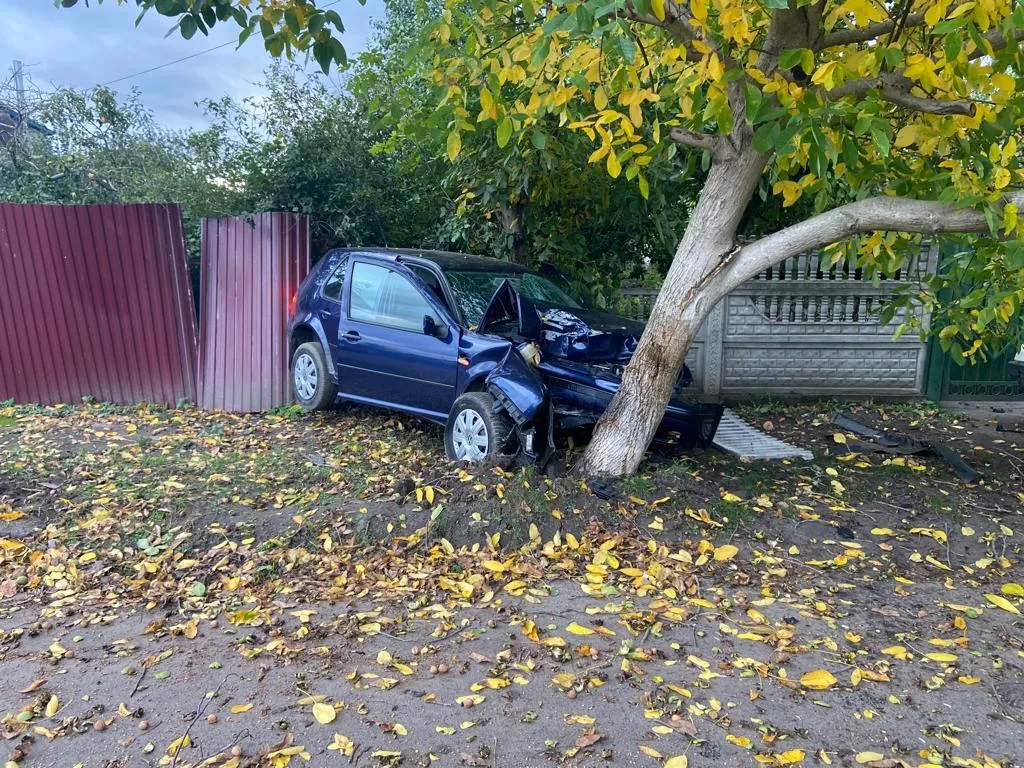     ,     .    dqxikeidqxidant