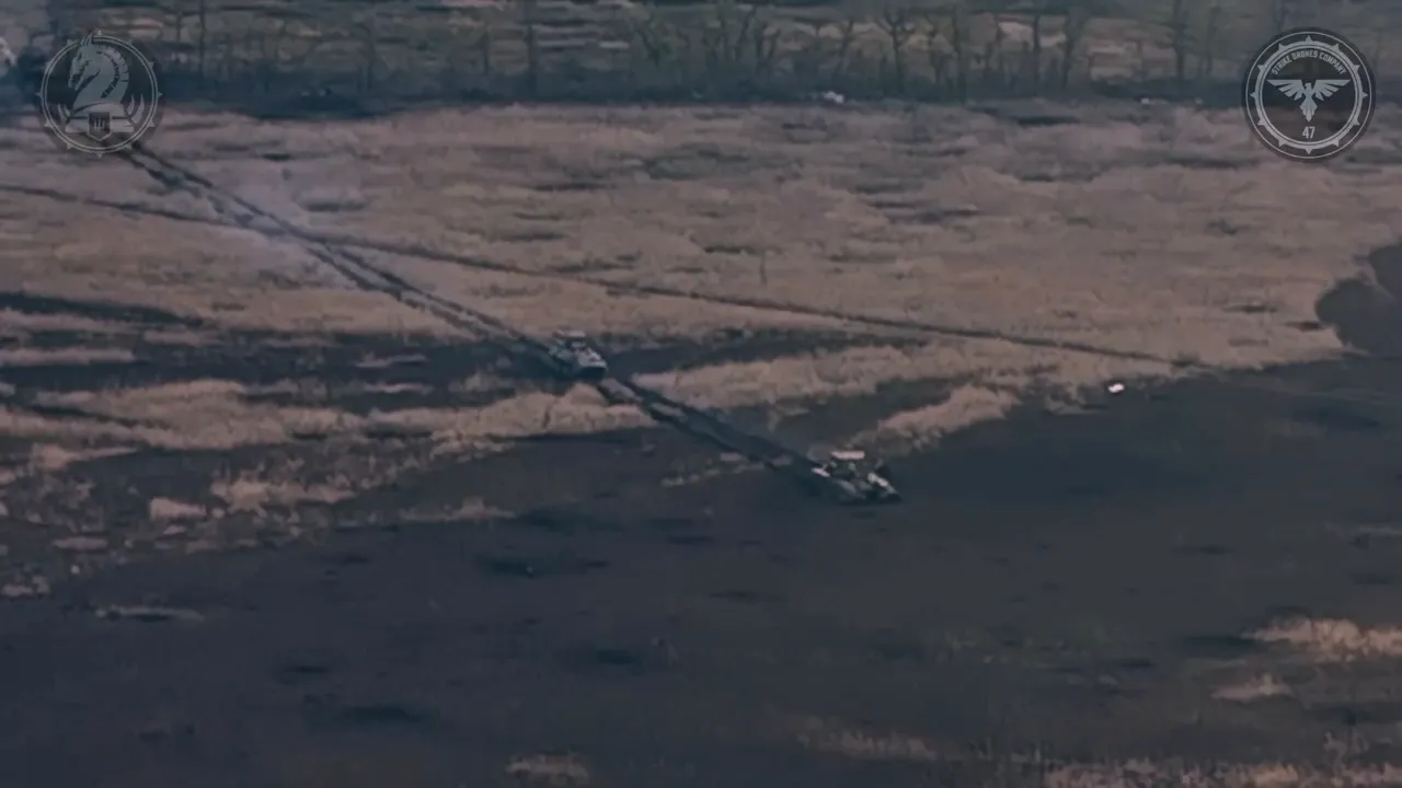 ϳ 䳿    : 47-     dqxikeidqxitkant