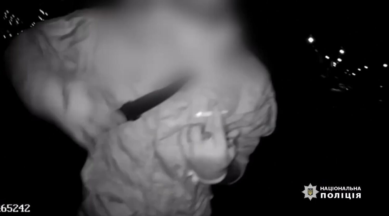 Конфлікт між поліцейським та прикордонником у Києві: відкрито кримінальне провадження. Відео dqxikeidqxiqqeant