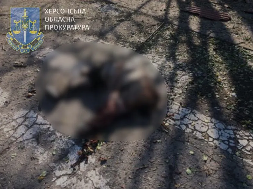 Окупанти вбили двох людей на Донеччині та ще двох – на Херсонщині: пошкоджено будинки. Фото