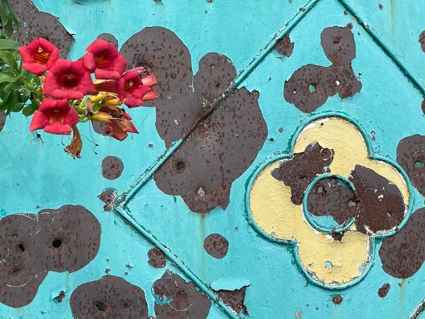  ,  ,   쳺,  9/23.Posad Pokrovs’ke, Kherson oblast, deoccupied by Ukrainian army, TS 9/23