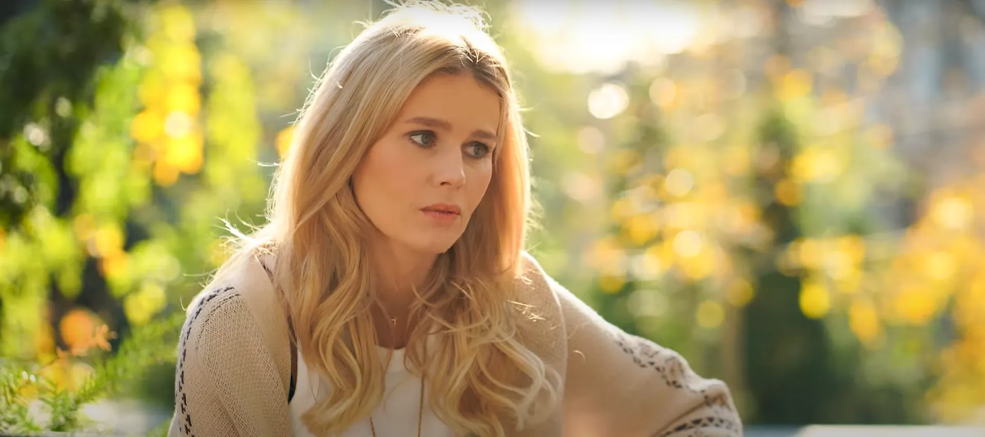 -  ,      24 ,   :   dqxikeidqxitkant