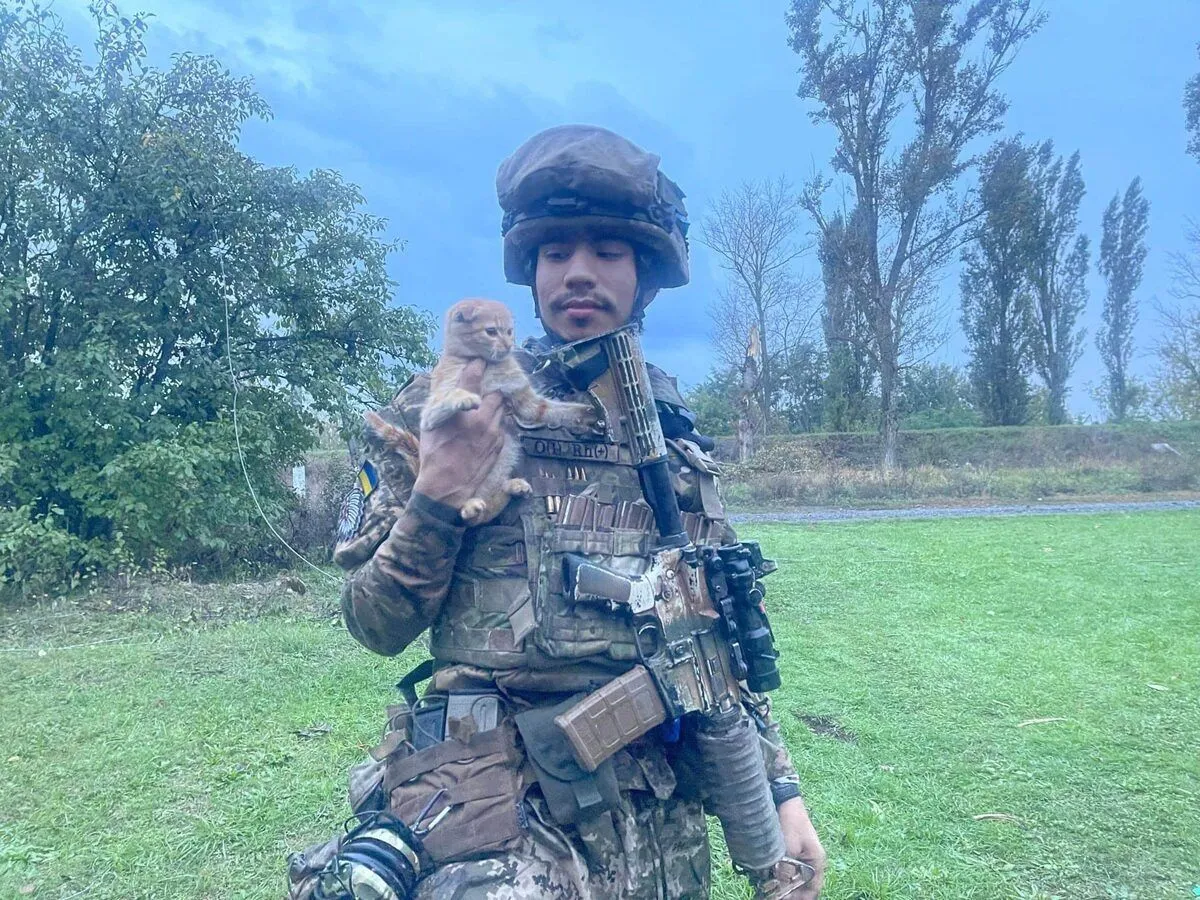  ,  :      25-   dqxikeidqxiqqeant