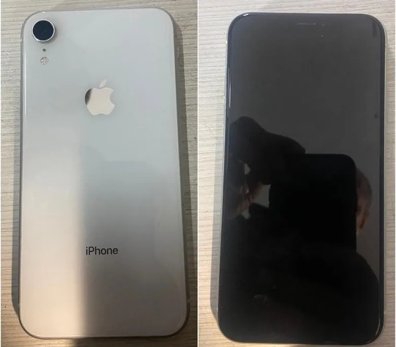    ,  -   17- .    dqxikeidqxiqxxant