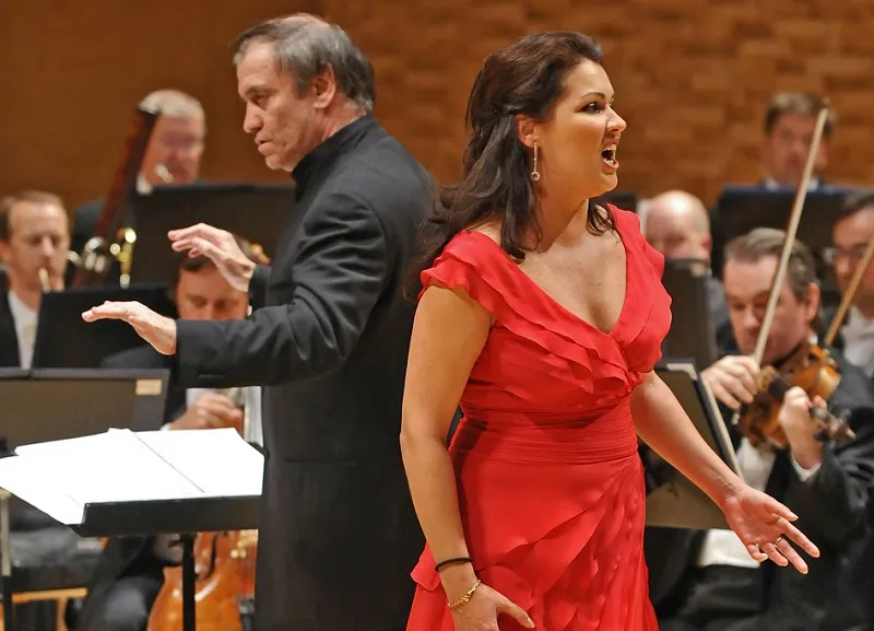   .       ,     - dqxikeidqxitkant