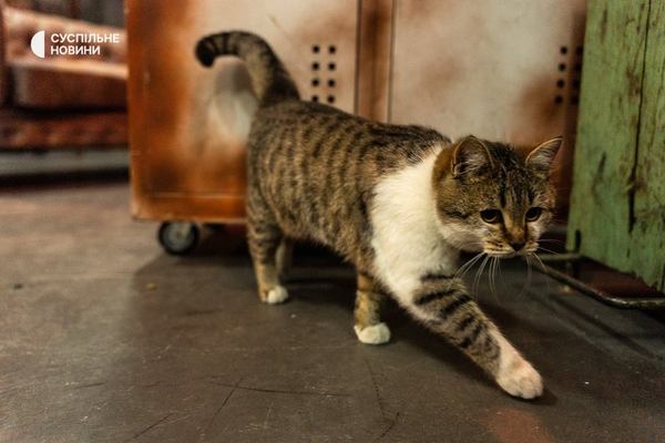     ,       , 27  2023 . :  /