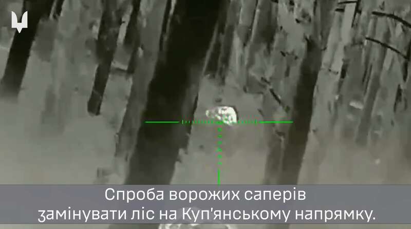          :     dqxikeidqxitkant