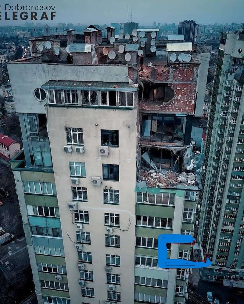   / © instagram.com/ananasova_olya dqxikeidqxiqxxant