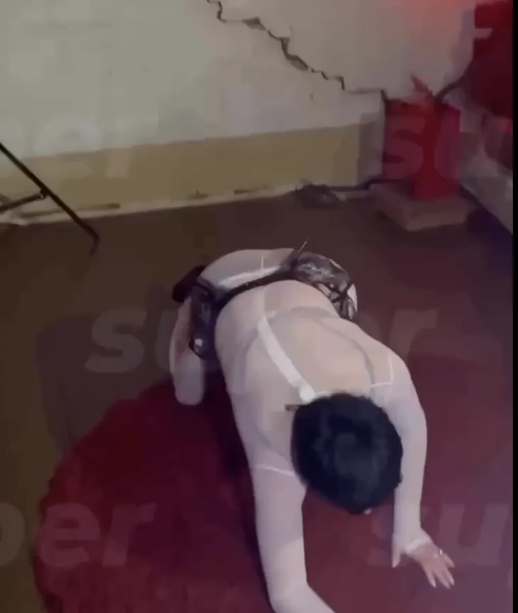        :       dqxikeidqxidant