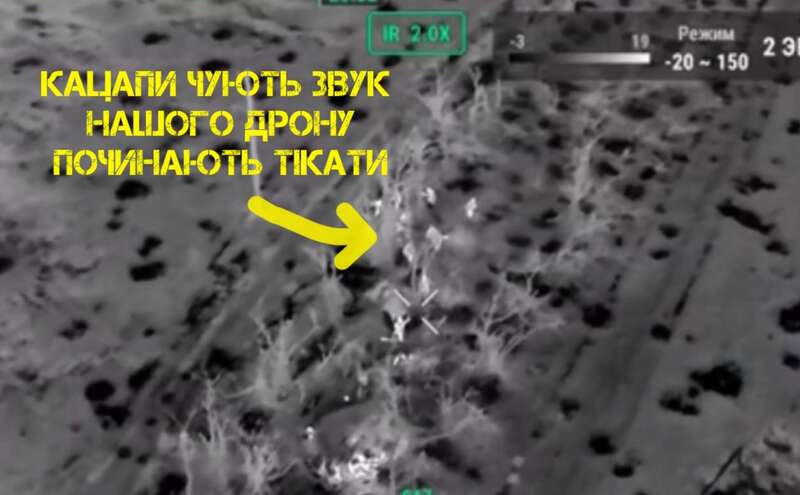   ,        . ³ dqxikeidqxitkant