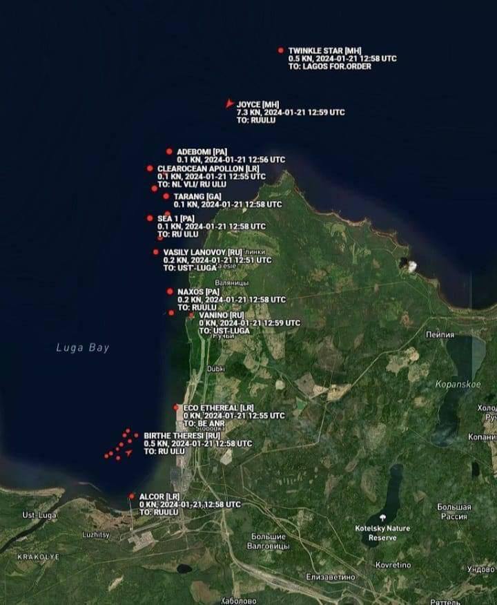           , -  dqxikeidqxitkant