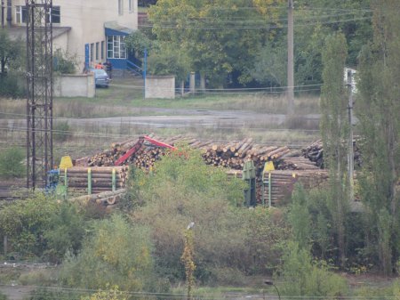 Зацените масштабы: в Мукачево лес-кругляк Зацените масштабы: в Мукачево лес-кругляк