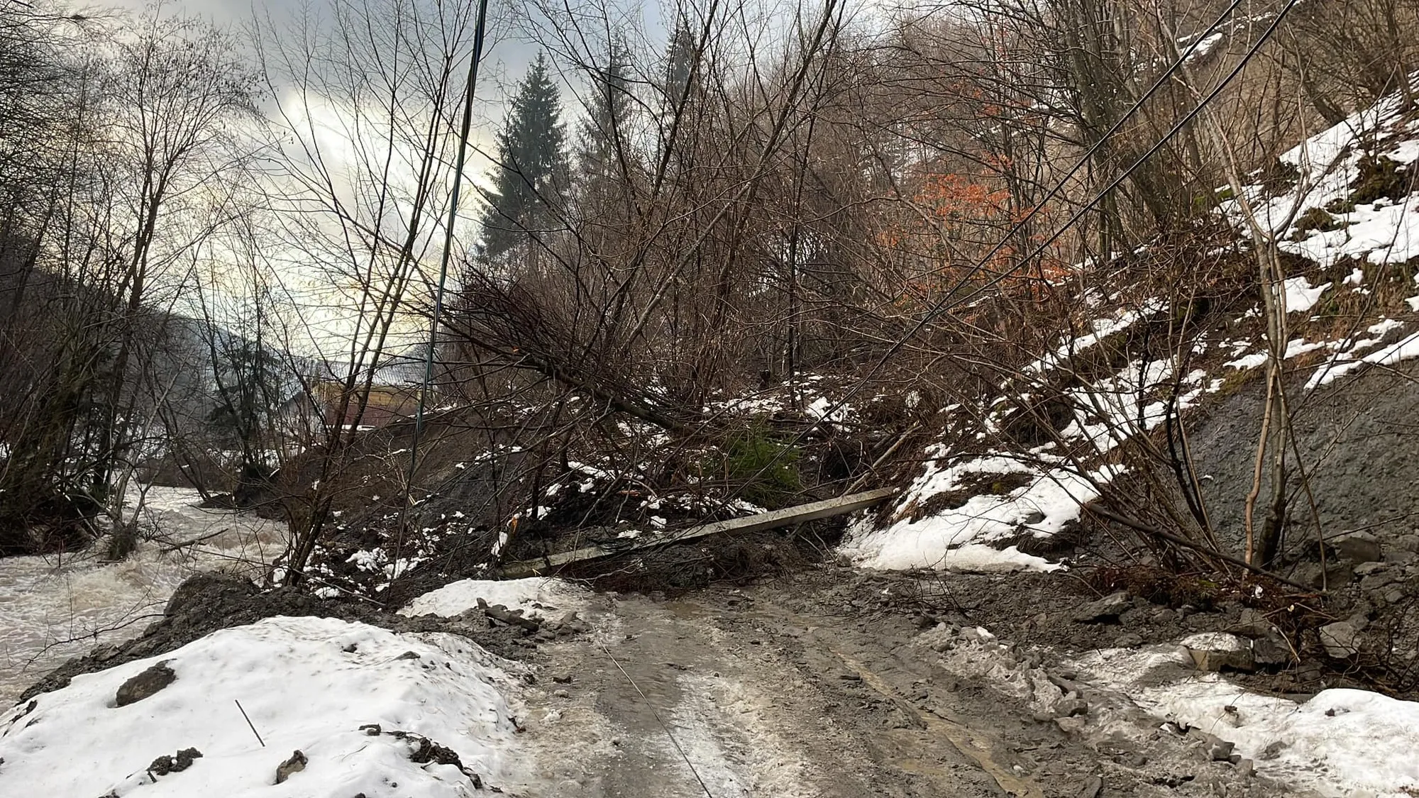   -      .   dqxikeidqxiqqeant