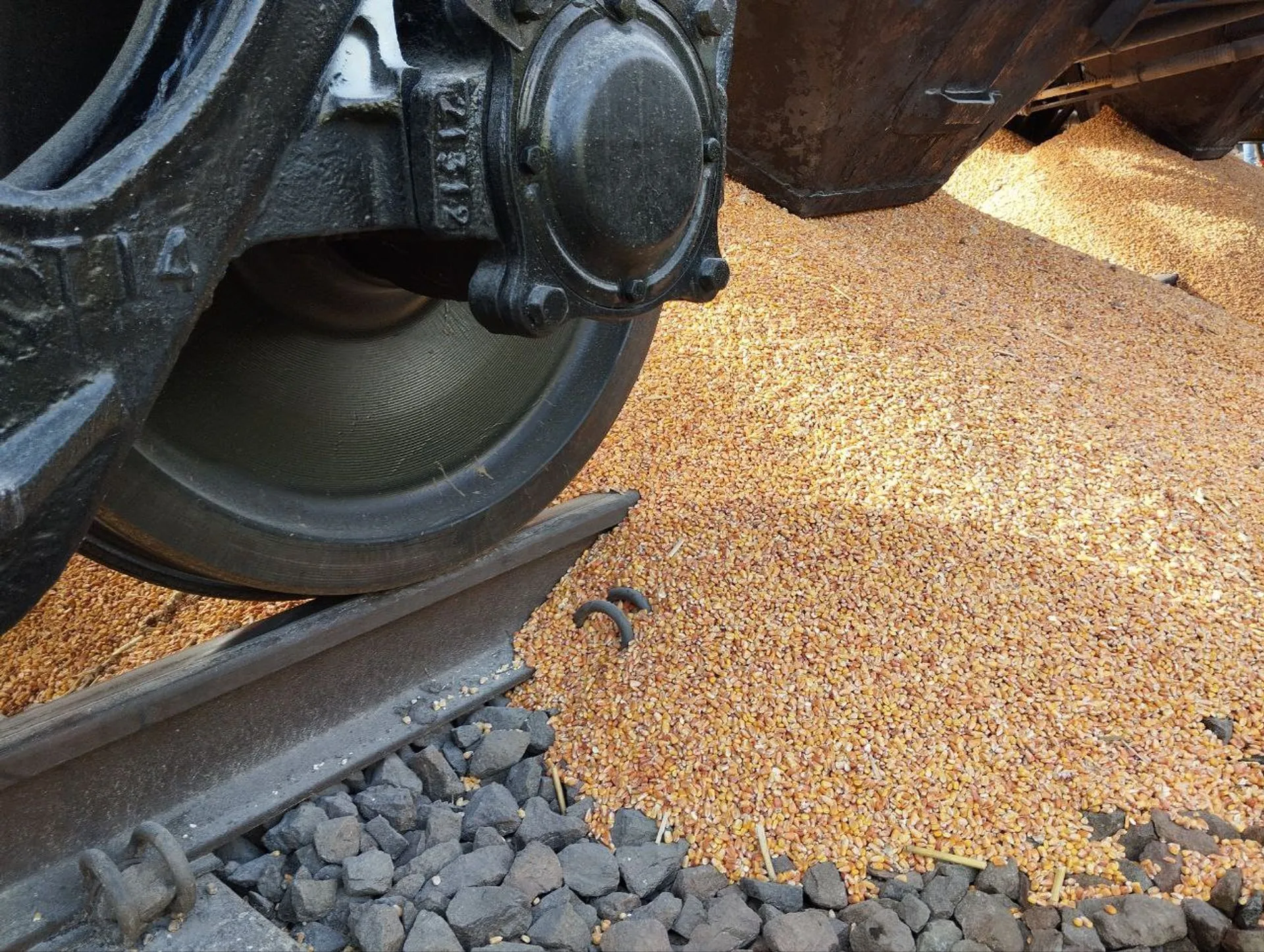 Grain from a train was spilled on the Polish border