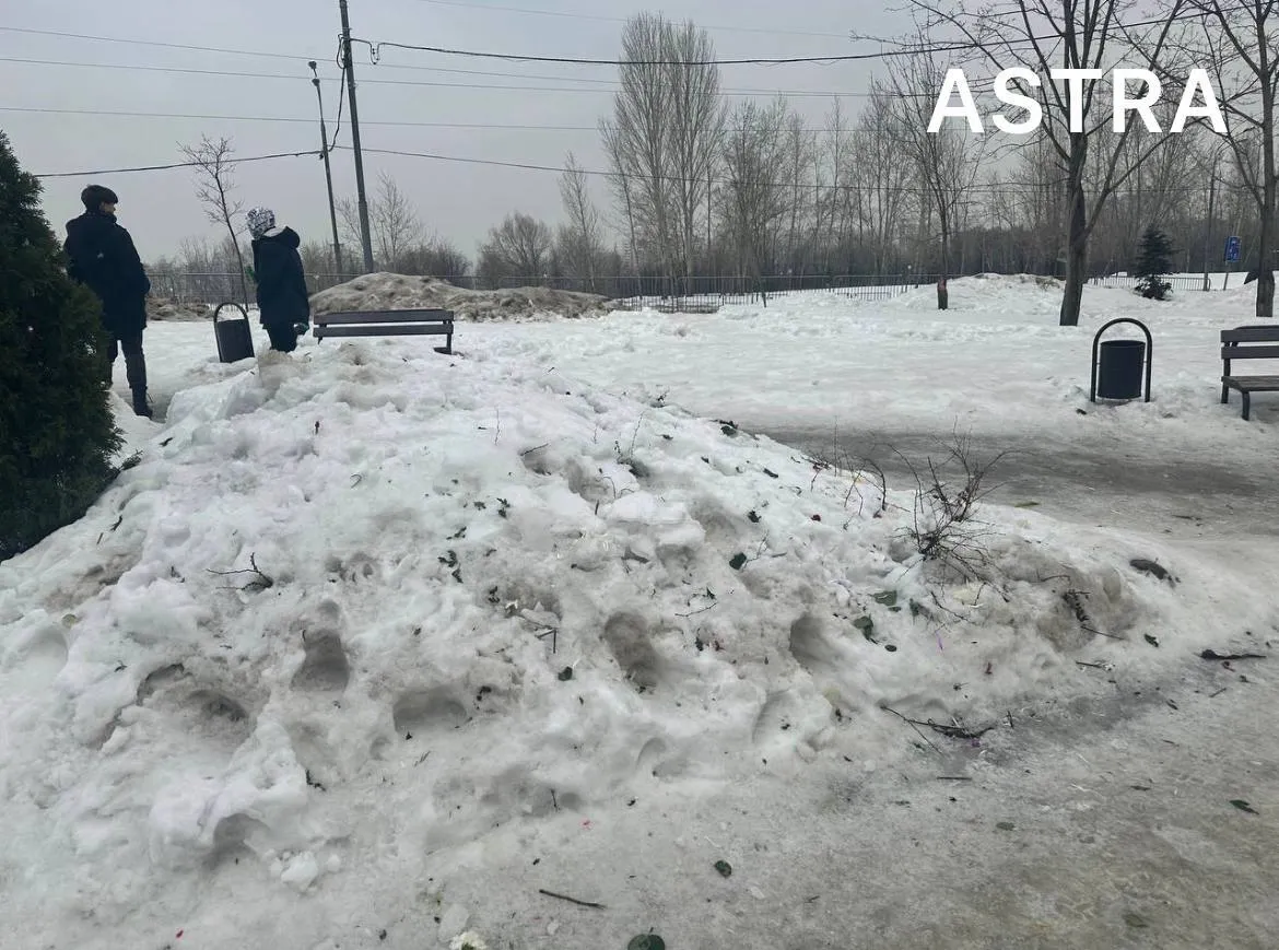 Російськи комунальники скрізь знищили меморіали Навальному: всі квіти викинули. Фото