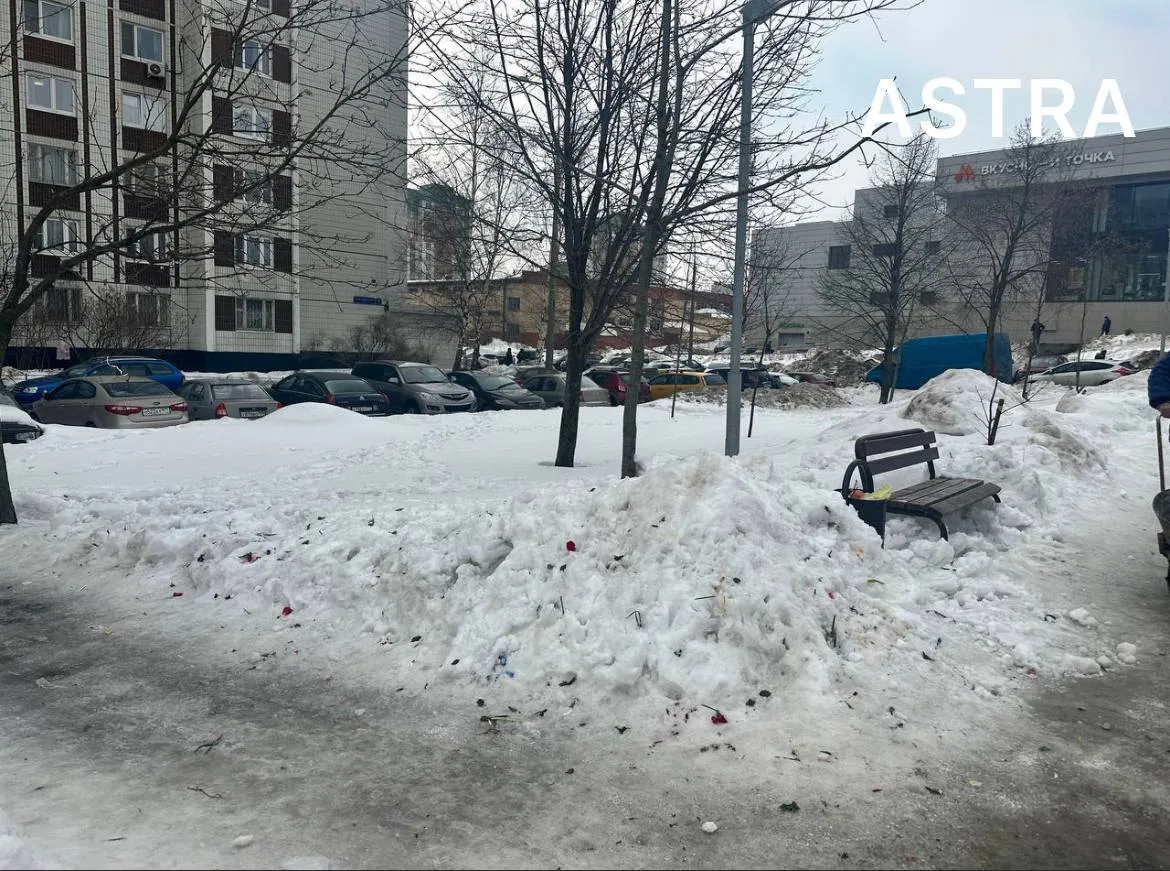 Російськи комунальники скрізь знищили меморіали Навальному: всі квіти викинули. Фото