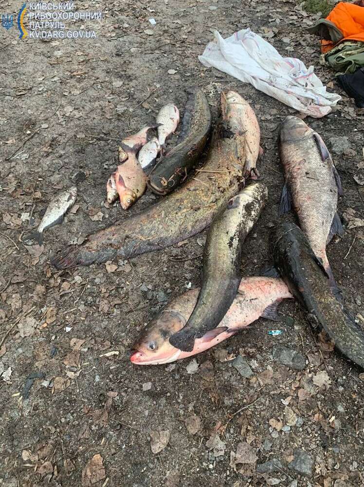 Нет описания фото. dqxikeidqxiqqeant