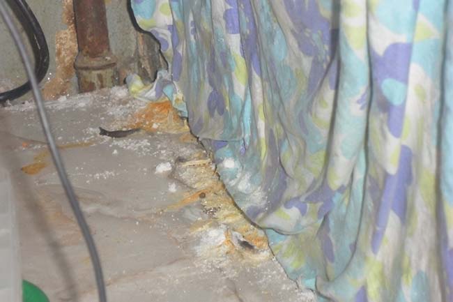 Фото Любови Овчинниковой truschebi25