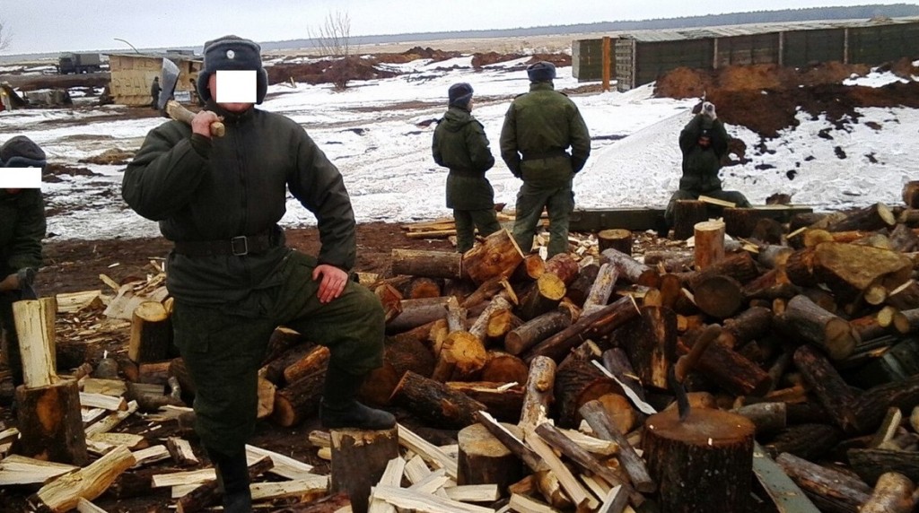 Жтзнь в поле (2)