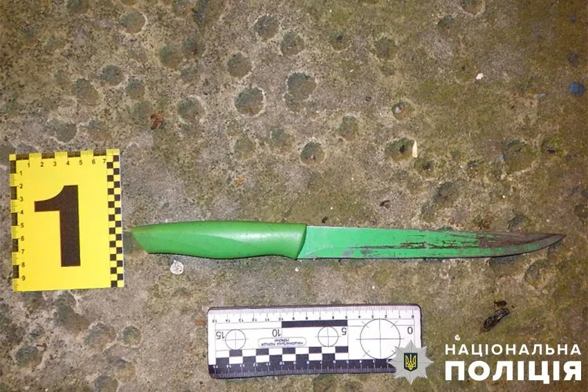 Ледь не вбив пенсіонерку: у Києві чоловік з ножем напав на бабусю своєї співмешканки. Подробиці і фото dqxikeidqxiqqeant