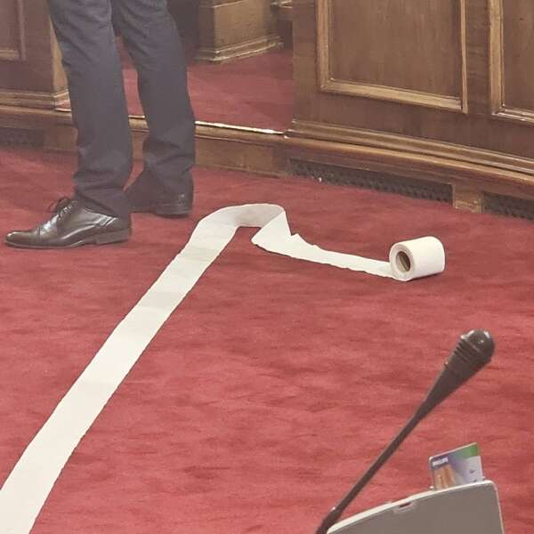 Сербія, туалетний папір, парламент Сербії, Ана Брнабіч