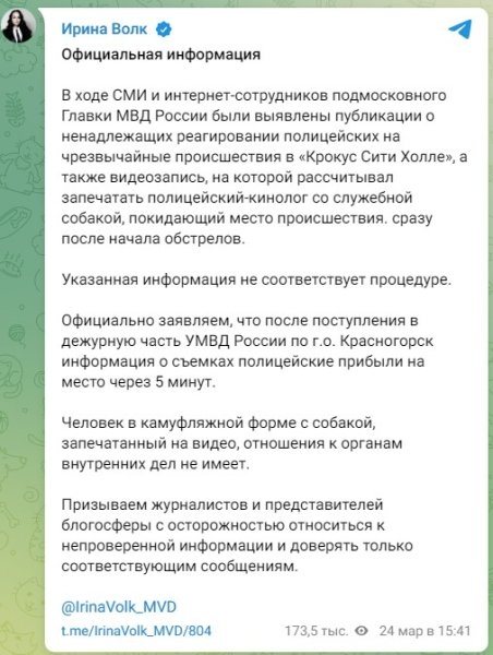 Ирина Волк телеграмм