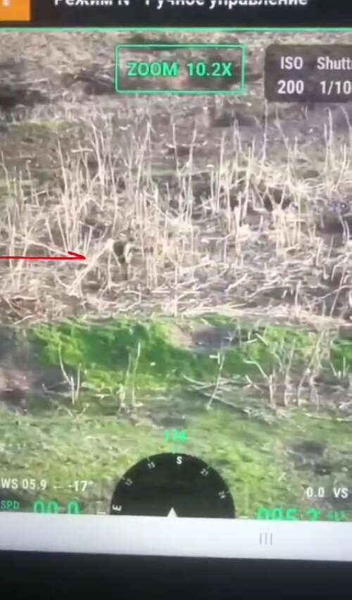 Їхав на розвідку на мопеді: біля Урожайного нацвардійці взяли у полон окупанта з бригади морпіхів. Відео