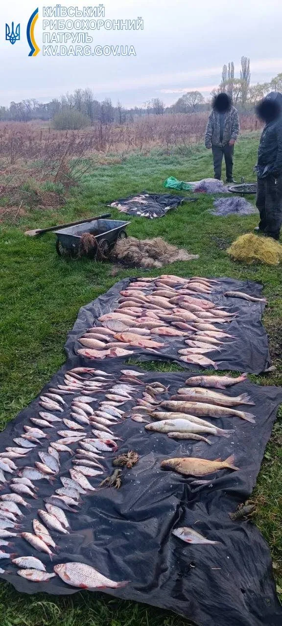 На Київщині браконьєри dqxikeidqxiqqeant