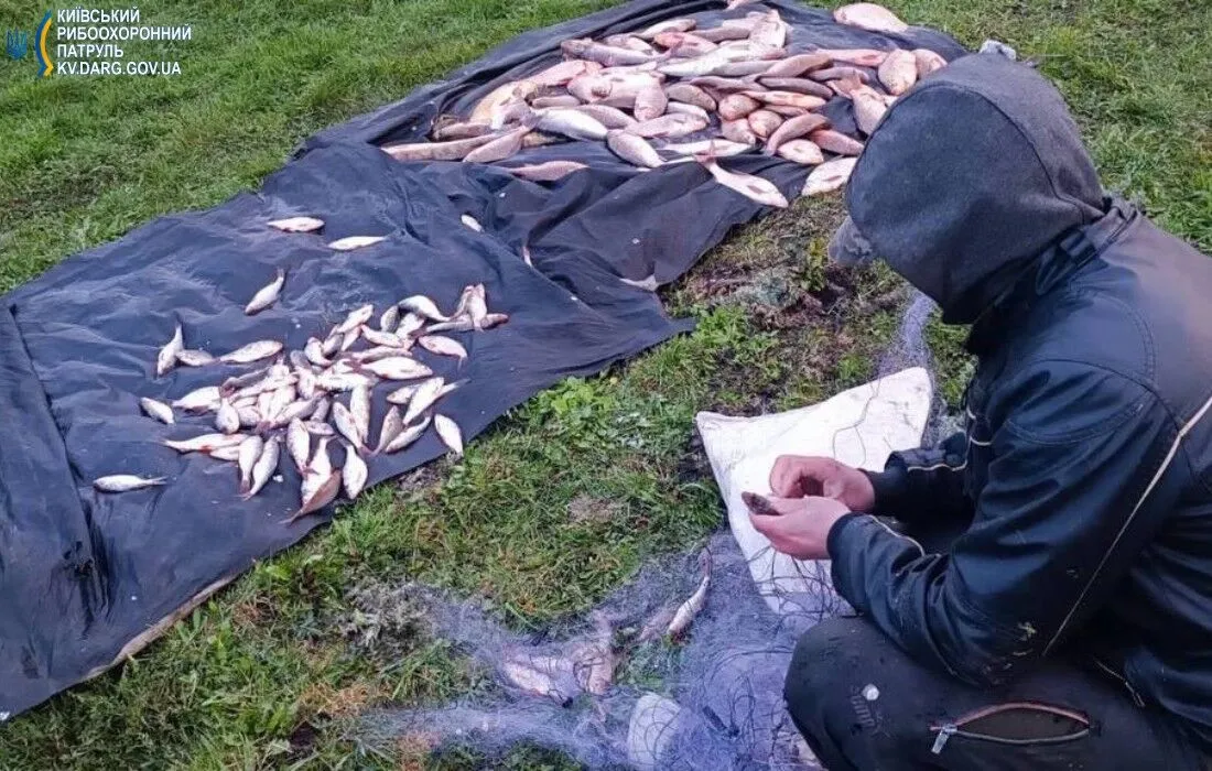 На Київщині браконьєри