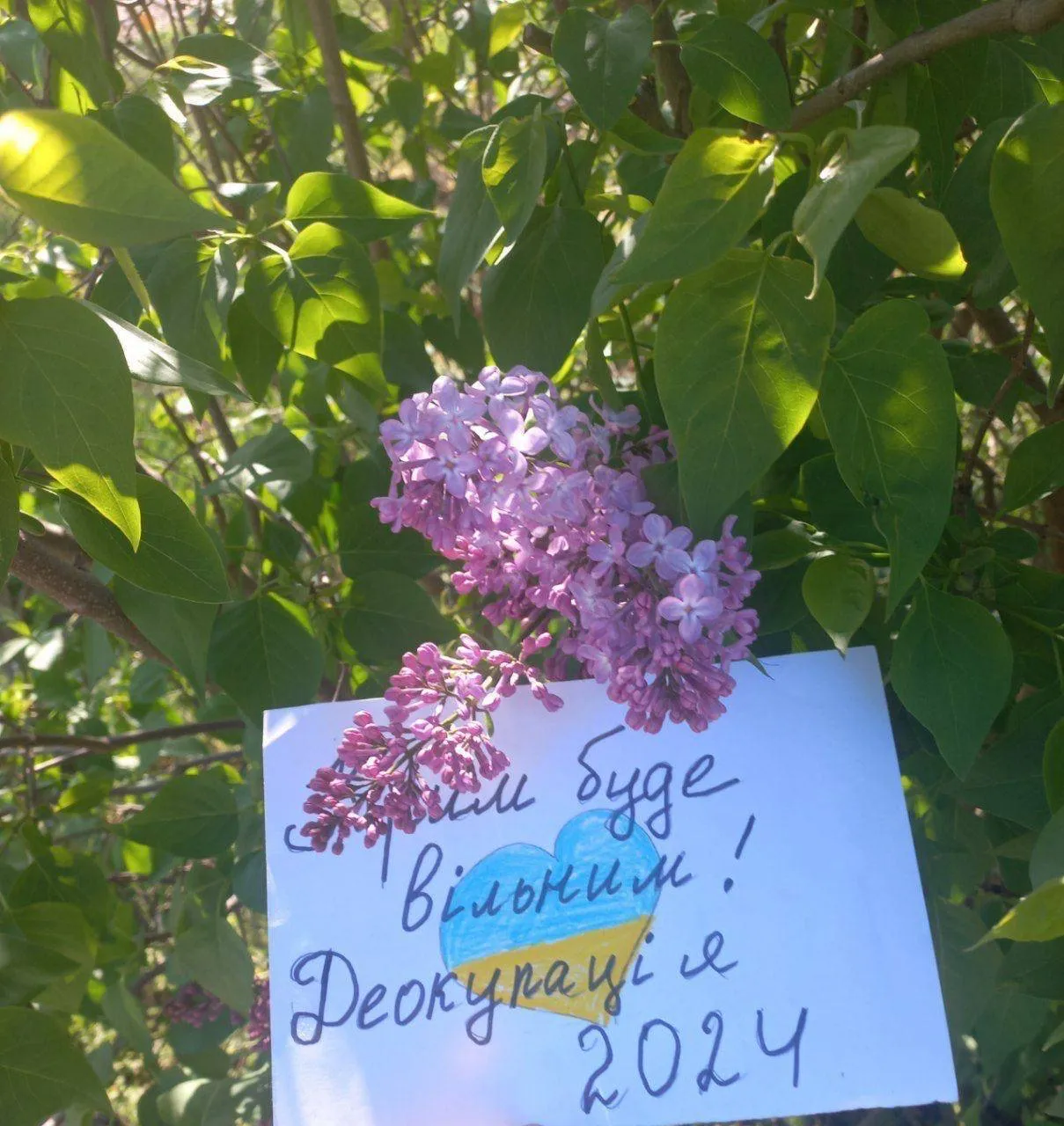 Крым – это Украина: активисты движения