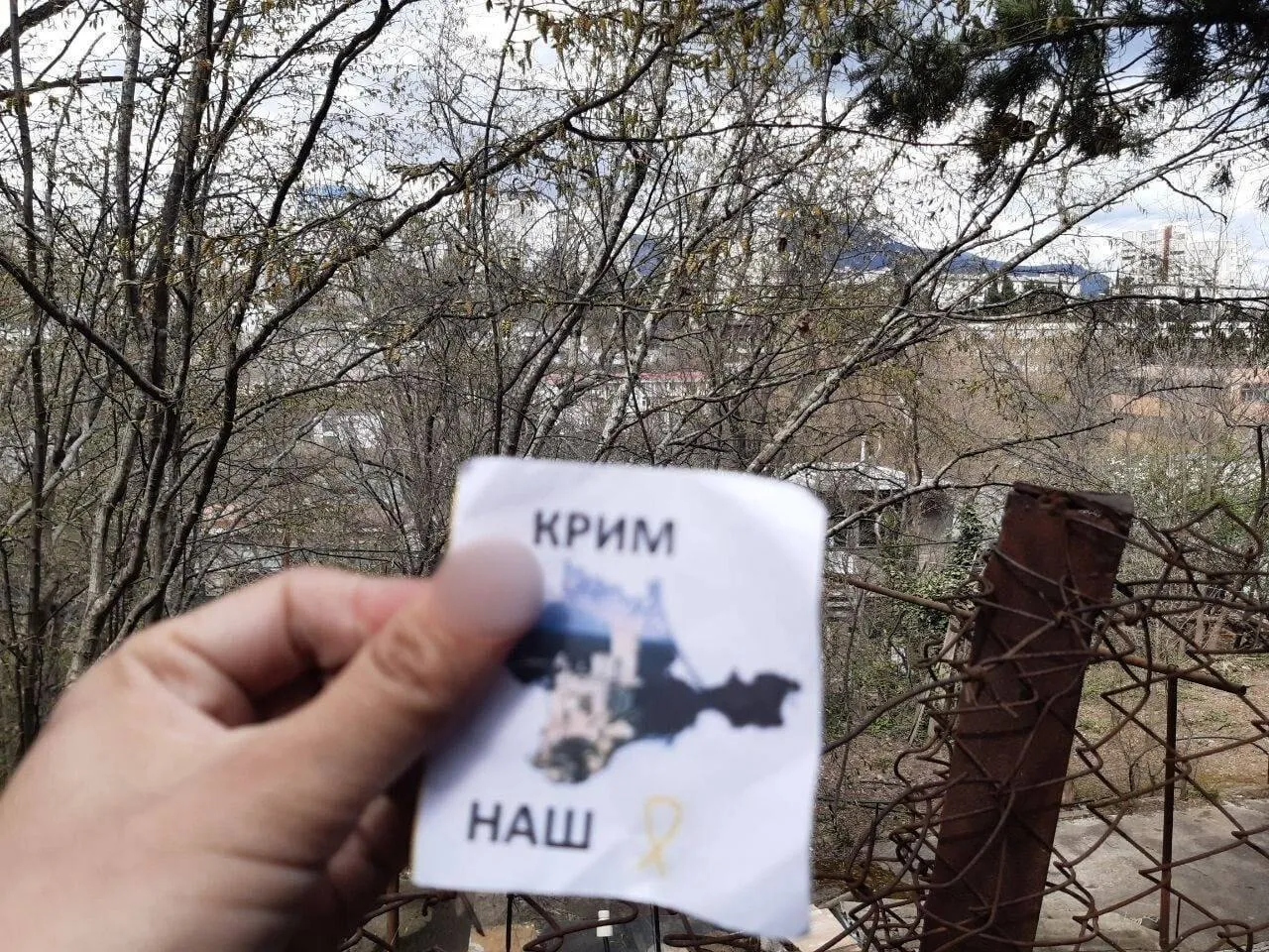 Крым – это Украина: активисты движения