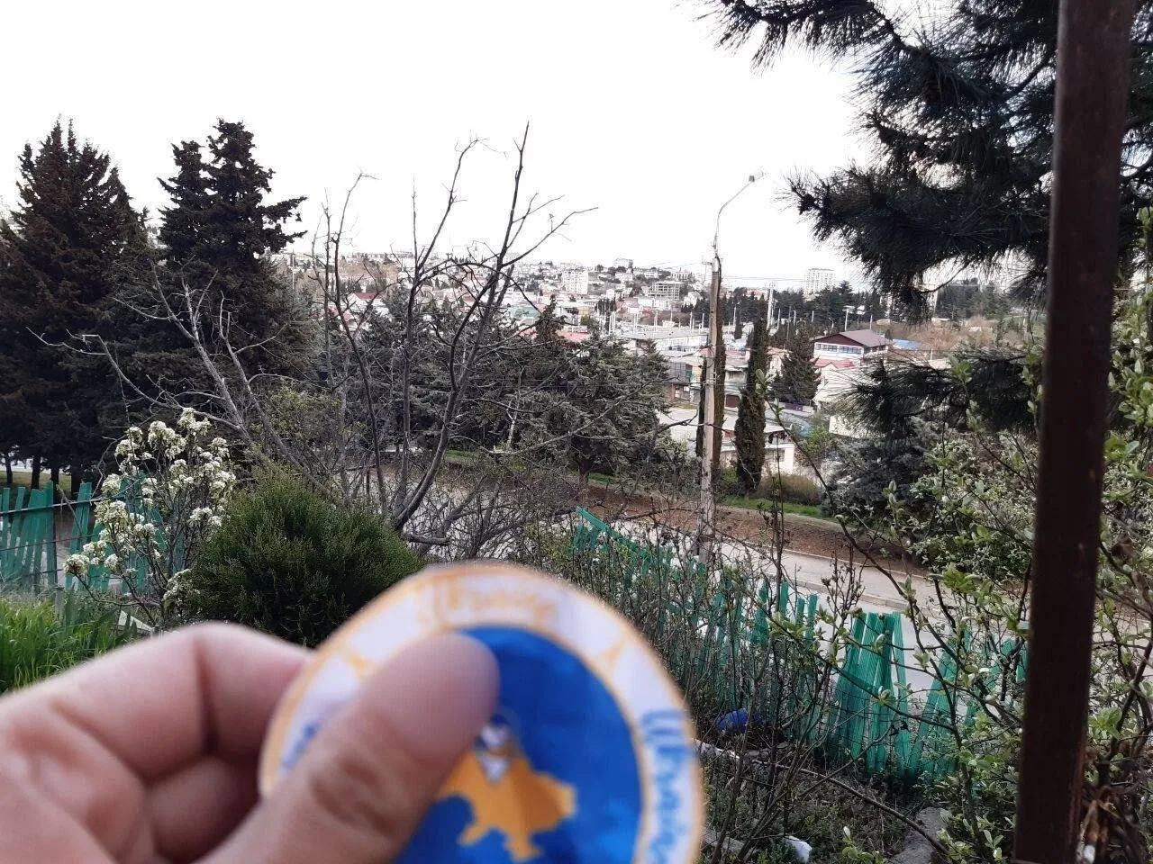 Крым – это Украина: активисты движения