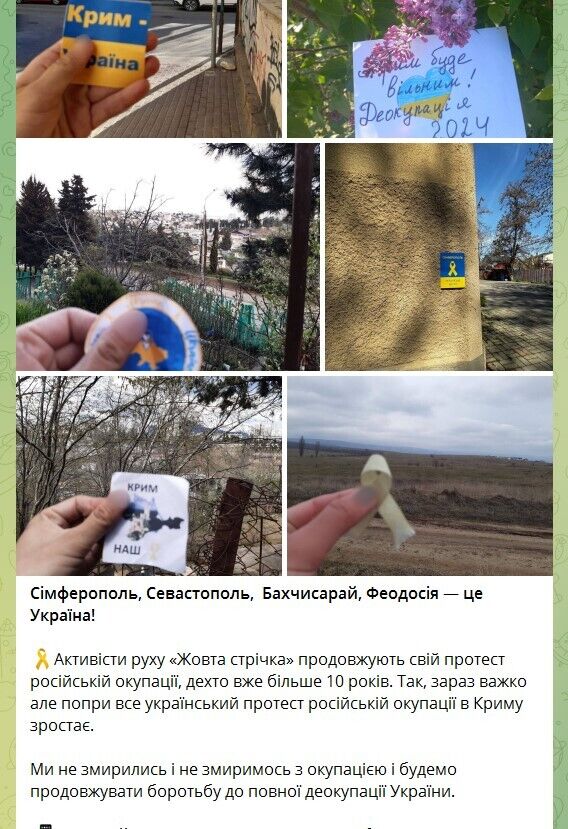 Крым – это Украина: активисты движения