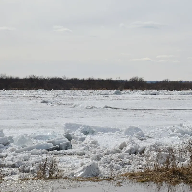 Не только юг: сибирские регионы России также страдают от паводка. Фото и видео