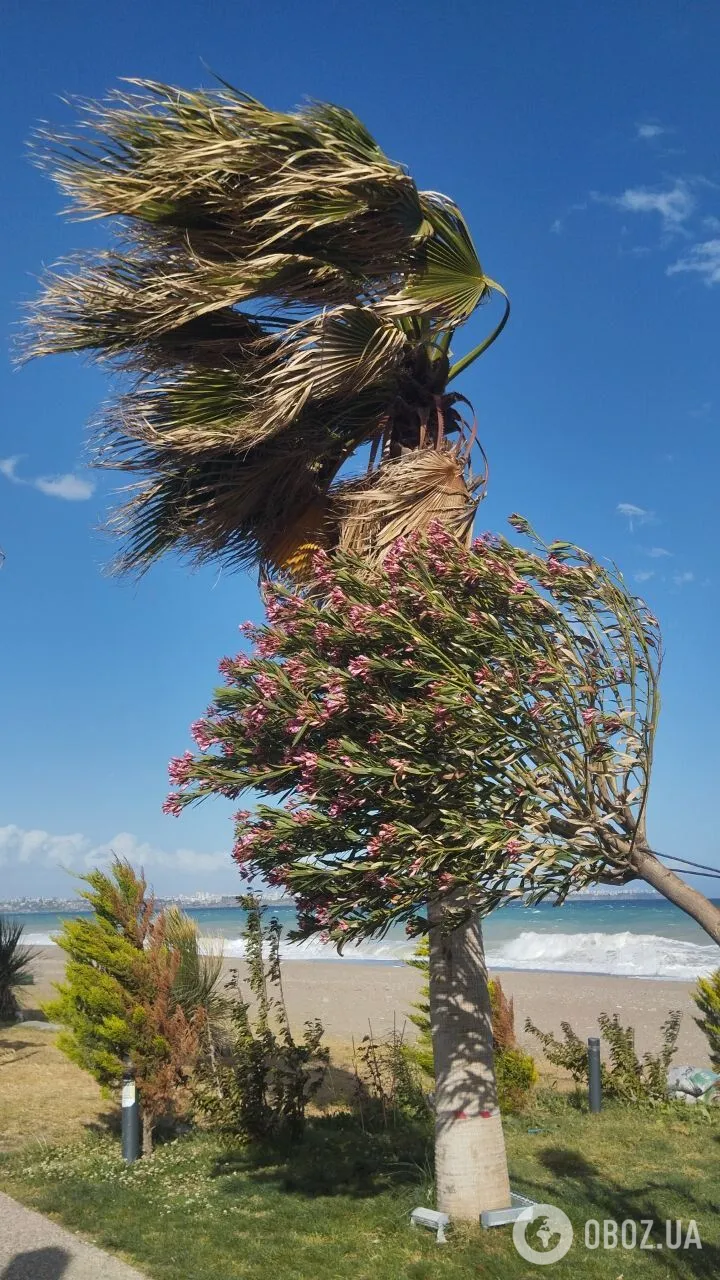     :    .  dqxikeidqxiqqeant